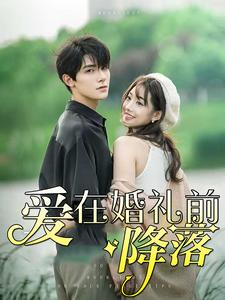 【爱在婚礼前降落】50集高清短剧免费在线畅看