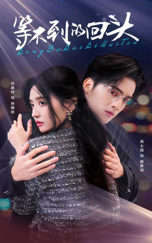 【等不到的回头】35集免费短剧在线快览