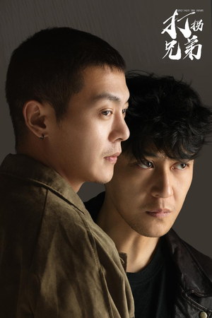 【打拐兄弟】30集高清短剧在线免费观看