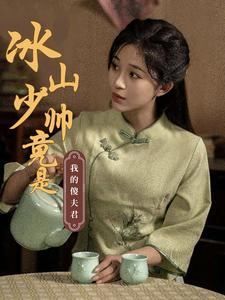 【冰山少帅竟是我的傻夫君】86集免费短剧在线完整赏