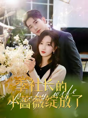 【季社长的小蔷薇绽放了】60集在线短剧免费全集观