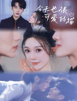 【今天也很可爱的猫】72集免费短剧全集观看