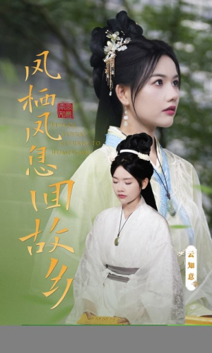 【凤栖凤息回故乡】36集免费短剧在线乐看