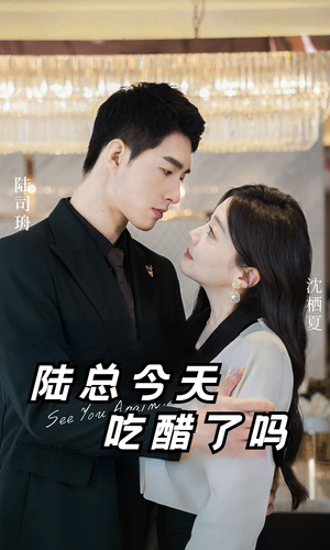 【陆总今天吃醋了吗】50集短剧在线免费完整看
