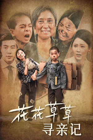 【花花草草寻亲记】42集免费短剧在线观看