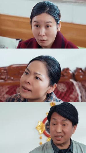 【回家过年遇到极品亲戚】29集免费短剧全集赏看