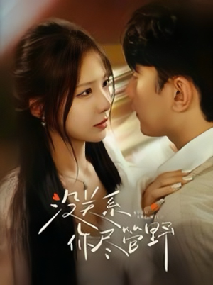 【没关系你尽管野】29集免费短剧全集在线赏