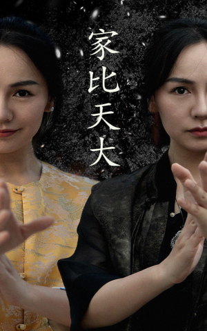 【家比天大】63集短剧在线完整版免费观