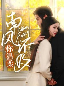 【南风不及你温柔】74集在线免费短剧赏看