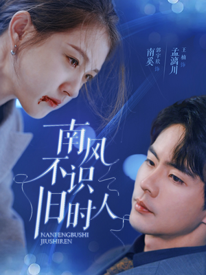 【南风不识旧时人】63集短剧完整版免费看