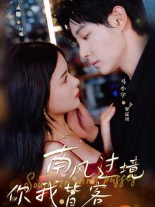 【南风国境你我皆客】80集在线短剧免费观看全集