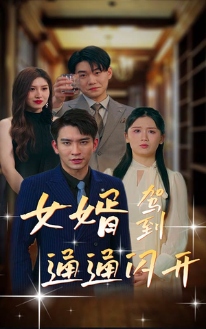 【女婿驾到，通通闪开】34集高清短剧免费看全集