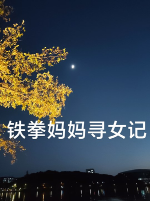 【铁拳妈妈寻女记】69集短剧免费全集任意看