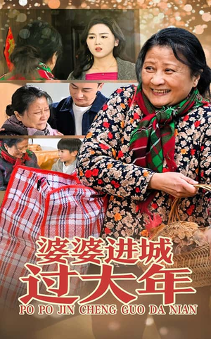 【婆婆进城过大年】33集精彩短剧在线赏看