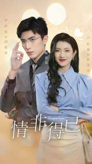 【情非得已】60集免费短剧资源在线观看