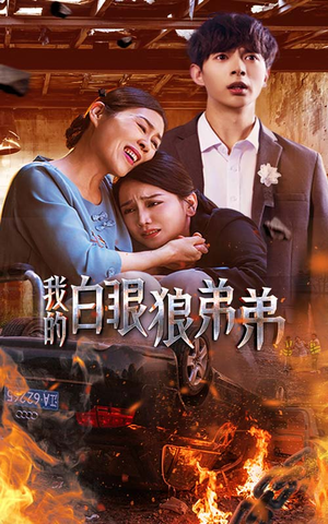 【我的白眼狼弟弟】69集免费短剧全集观映