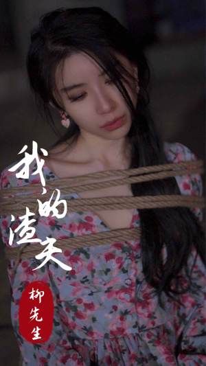 【我的渣夫柳先生】80集免费短剧在线细看