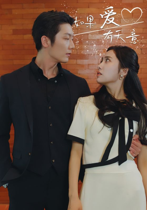 【如果爱有天意】80集短剧免费在线阅