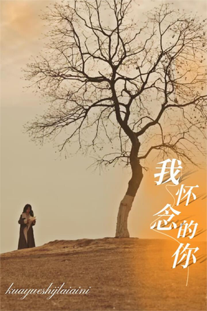 【我怀念的你】38集短剧全集免费畅看