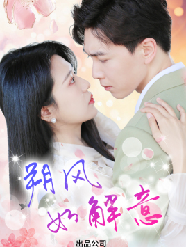【朔风有解意】70集短剧免费高清在线看