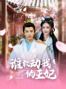 【谁敢动我的王妃】62集短剧免费在线即看