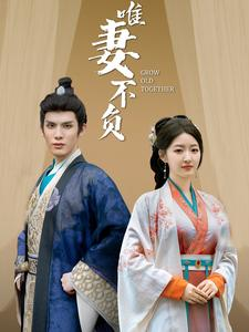 【唯妻不负】80集免费短剧在线完整看