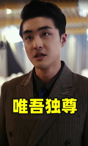 【唯吾独尊】96集短剧免费完整观看