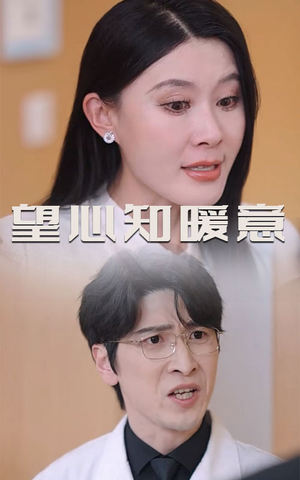 【望心知暖意】31集短剧免费高清在线观看