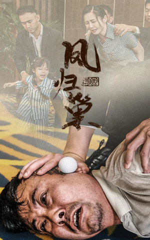 【新版：凤归巢】68集短剧在线免费全集赏看