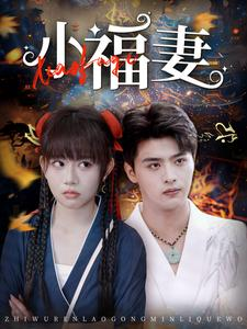 【小福妻】62集免费短剧全集线上观览