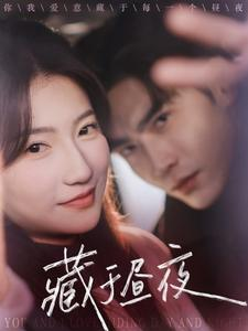 【藏于昼夜】68集短剧在线免费追看