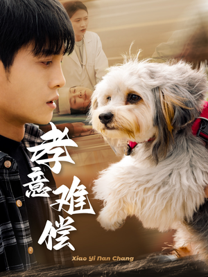 【孝意难偿】32集短剧免费在线完整观看