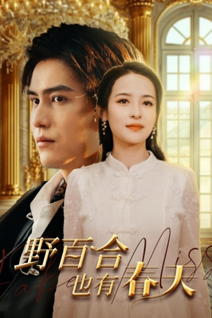 【野百合也有春天】85集在线短剧免费全览看