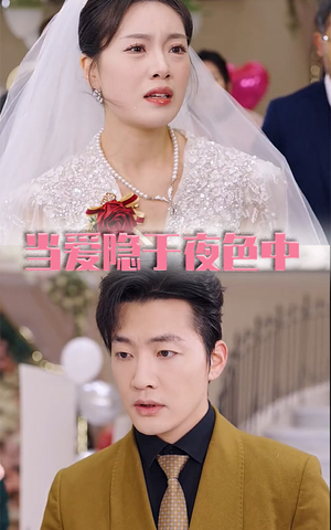 【当爱隐于夜色中】37集免费短剧在线畅览