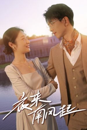 【夜来南风起】86集短剧免费全集观享