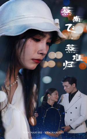 【燕南飞，燕难归】31集短剧全集免费观览