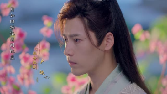 【红颜无双】24集免费短剧在线畅快观看