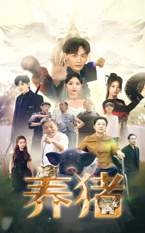 【养猪】74集精彩短剧免费全集观赏