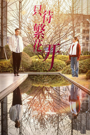 【只待繁花开】35集在线短剧免费全集畅享