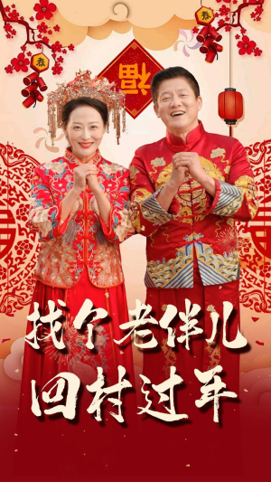 【找个老伴儿回村过年】58集免费短剧一键观看