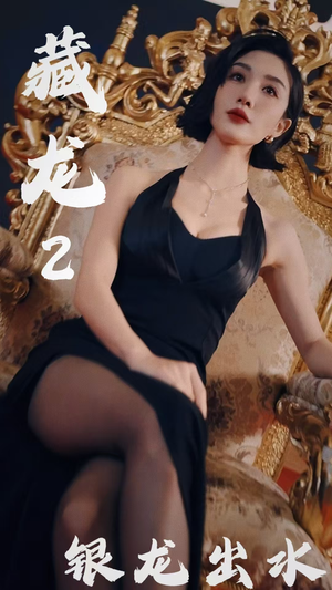 【藏龙2银龙出水】35集短剧免费在线观览