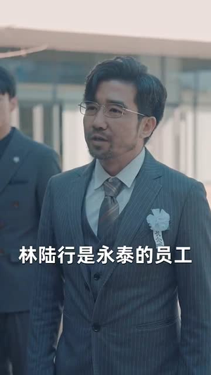 【中年自救指南】33集短剧全集免费在线观