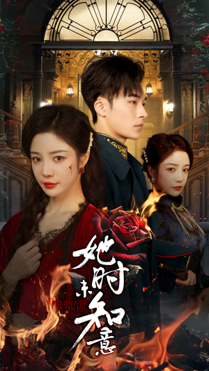 【她时未知意】70集短剧在线看全集高清版