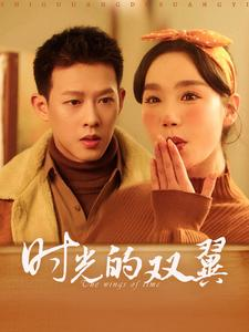 【时光的双翼】94集网盘短剧免费观看