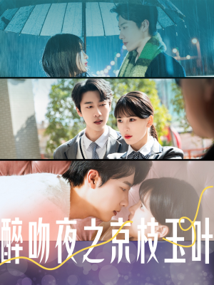 【醉吻夜之京枝玉叶】90集短剧免费在线赏看