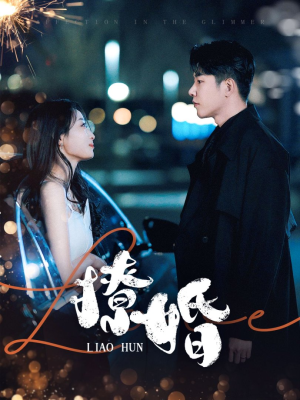 【撩婚】90集短剧免费全集在线赏看