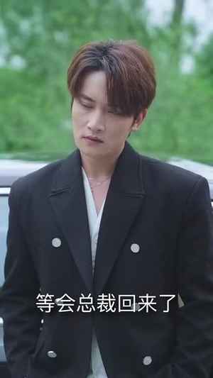 【龙宝之巅】77集短剧免费完整版在线看