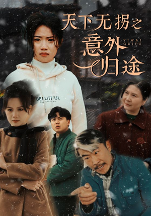 【天下无拐之意外归途】61集短剧全集免费在线播放