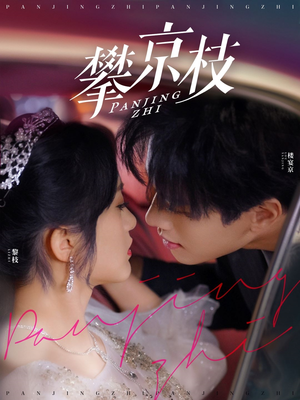 【攀京枝】80集免费短剧流畅观看