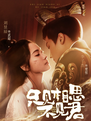 【只见相思不见君】全集82集短剧免费线上览